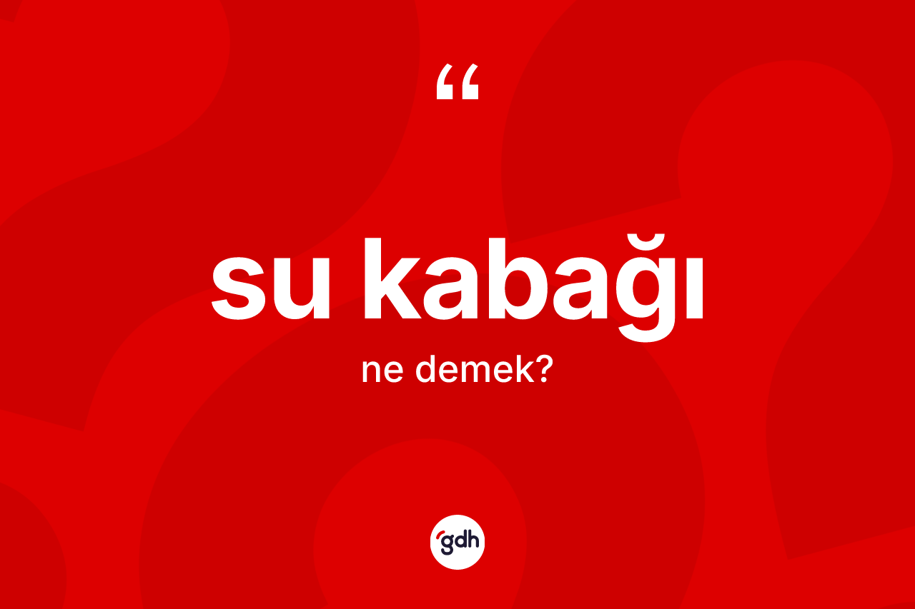 Su kabağı kelimesinin tanımı nedir?