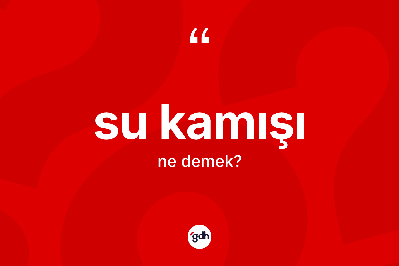 Su kamışı kelimesinin anlamı nedir?