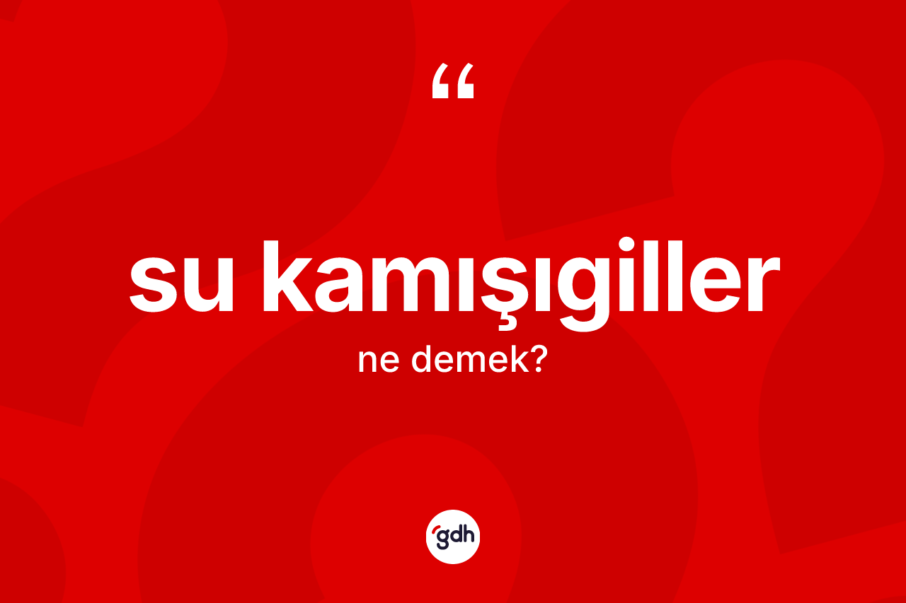 Su kamışıgiller nedir?