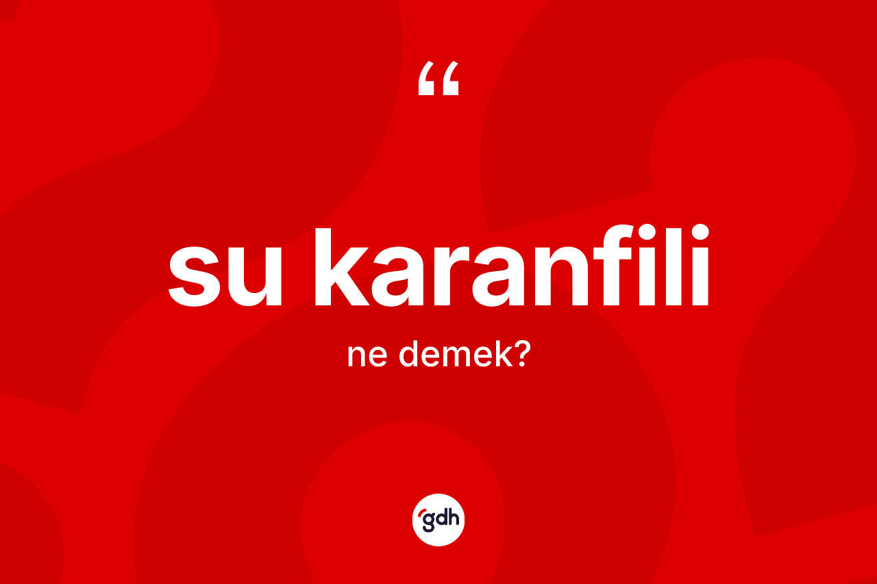 Su karanfili kelimesinin anlamı nedir?