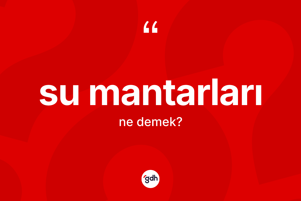 Su mantarları kelimesi nedir?