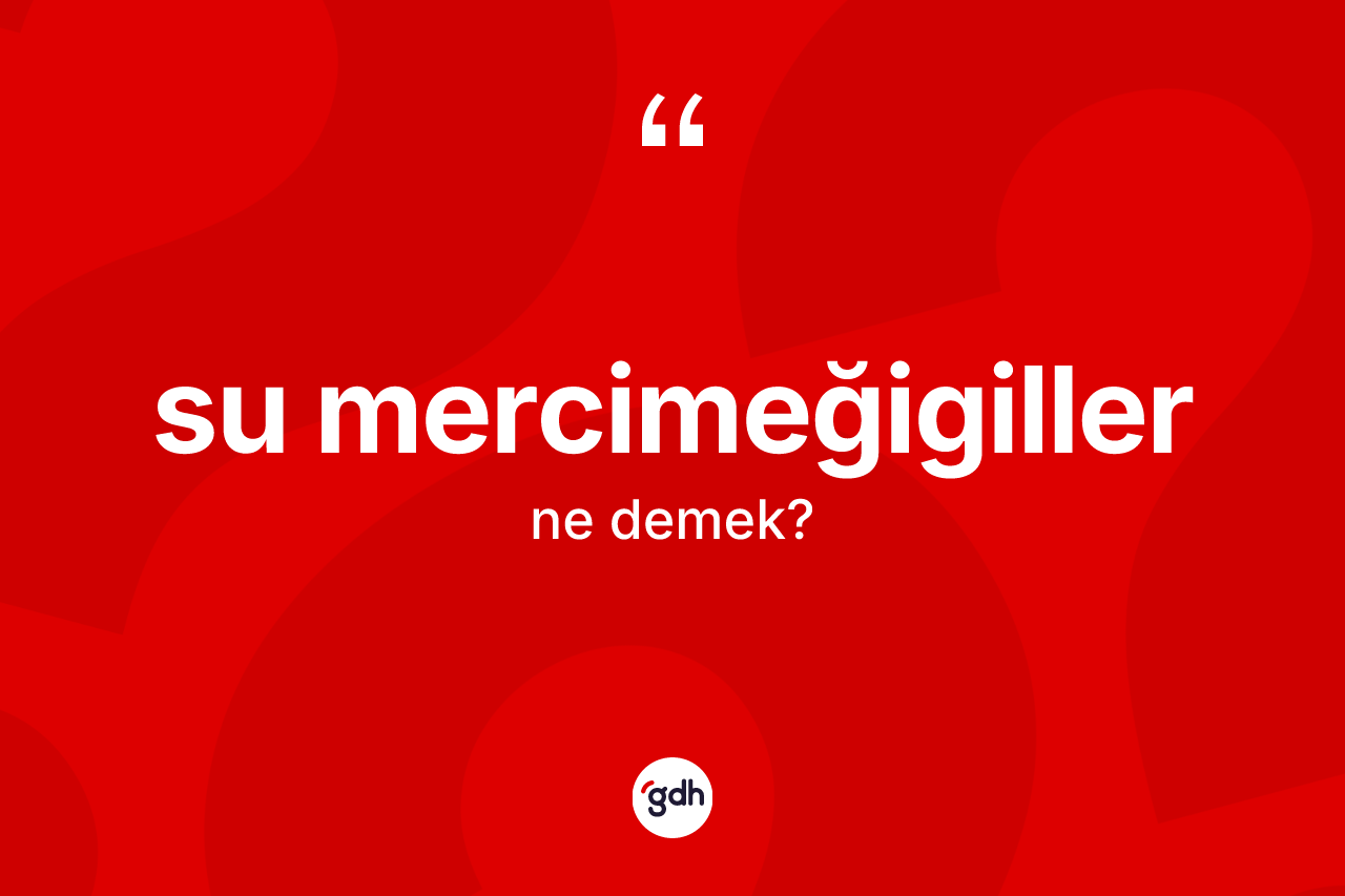 Su mercimeğigiller ne demek?