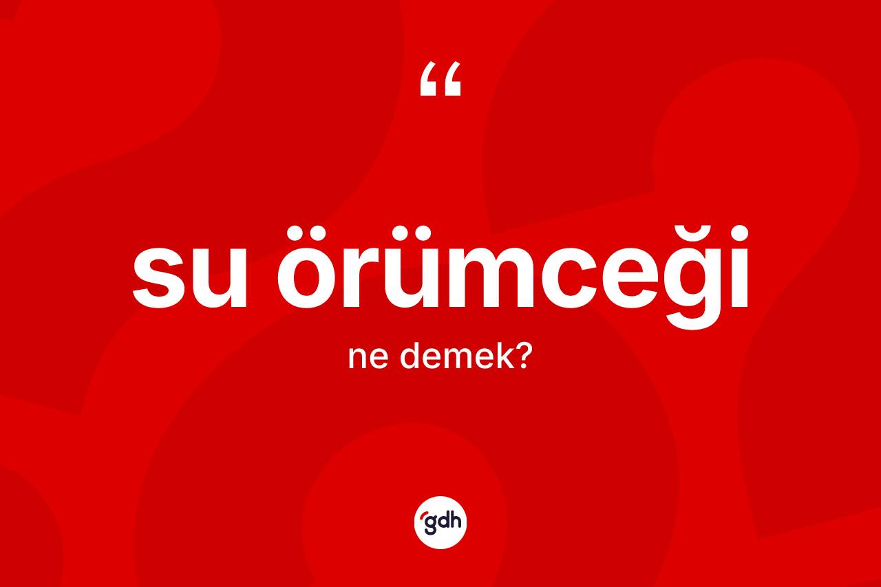 Su örümceği kelimesinin sözlükteki tanımı nedir?