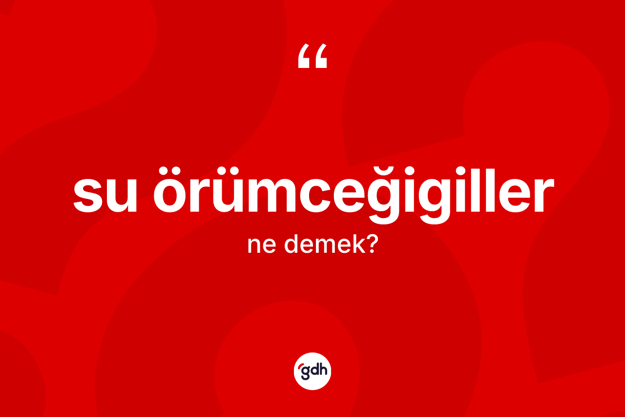Su örümceğigiller ne anlama gelir?