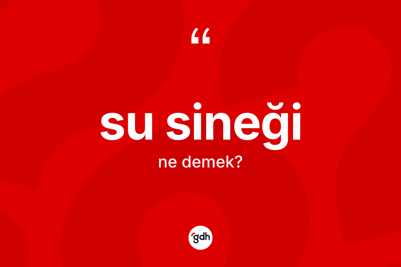 Su sineği ne anlama gelir?