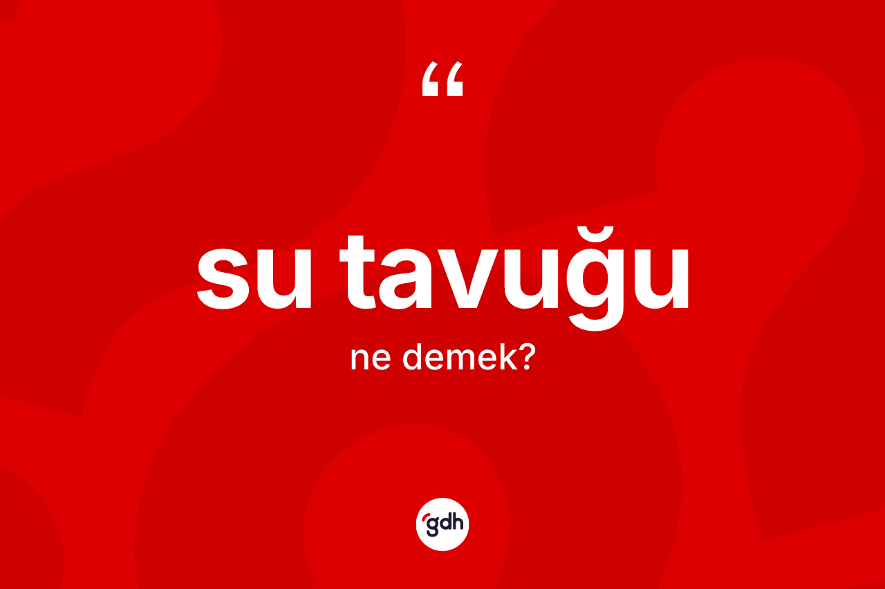 Su tavuğu nedir?