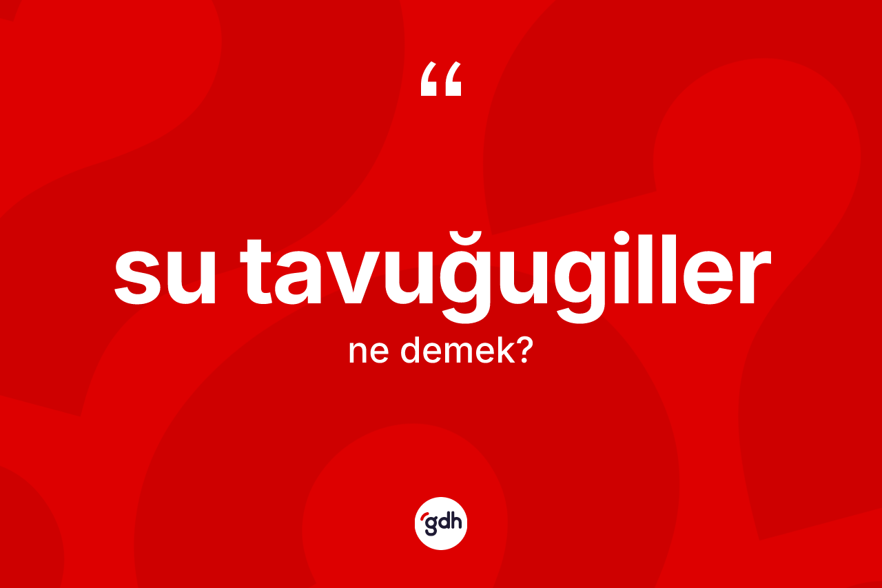 Su tavuğugiller kelimesinin anlamı nedir?