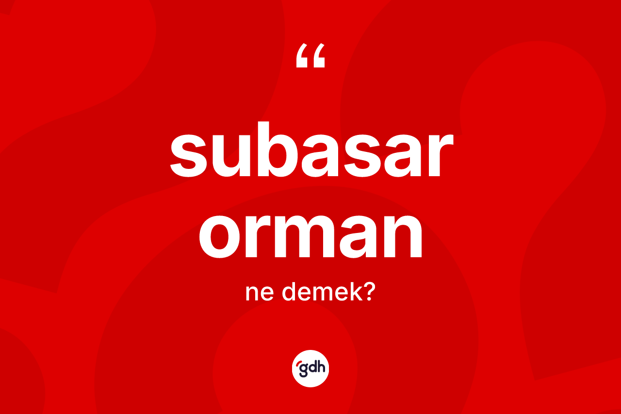 Subasar orman kelimesinin sözlükteki tanımı nedir?