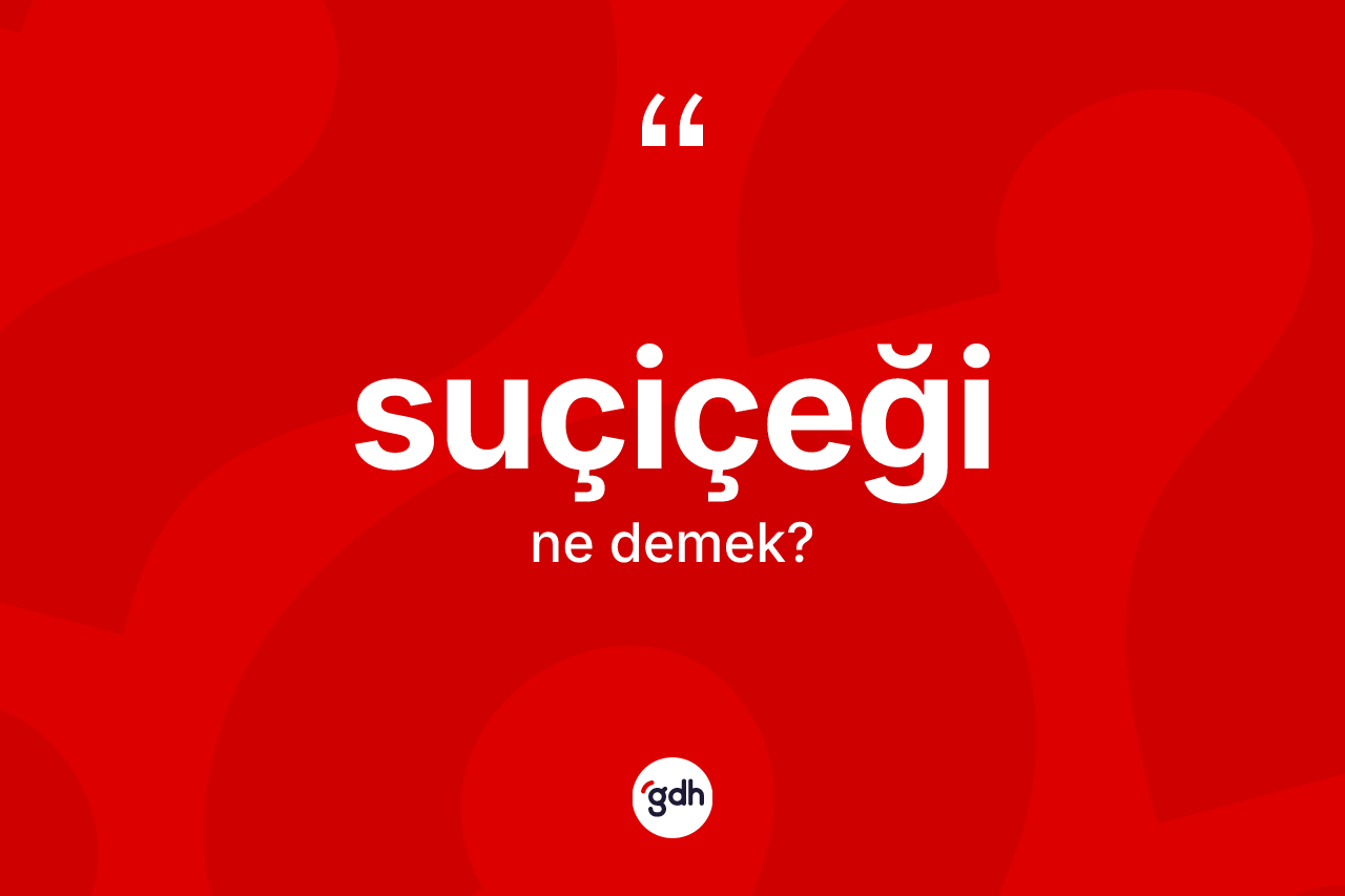 Suçiçeği kelimesinin tanımı nedir?