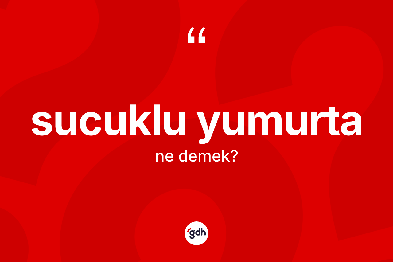 Sucuklu yumurta kelimesinin sözlükteki tanımı nedir?