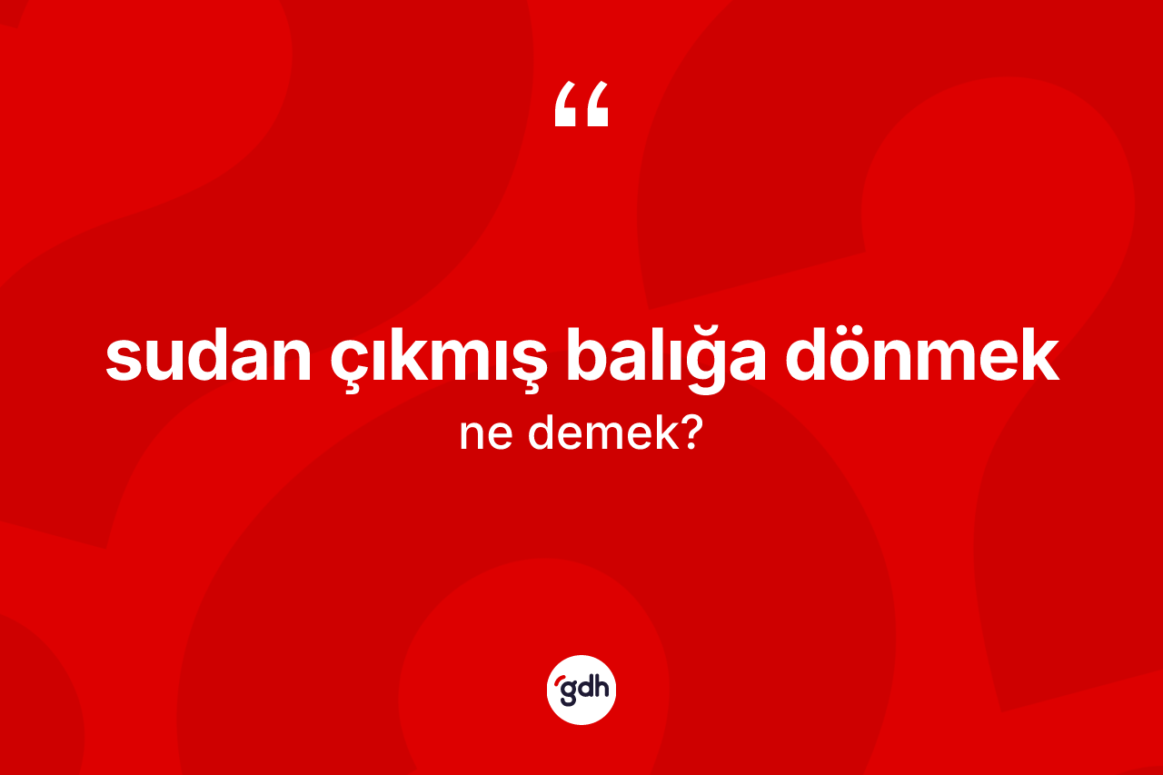 Sudan çıkmış balığa dönmek ifadesinin kısaca tanımı nedir?