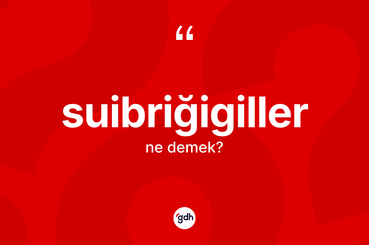 Suibriğigiller nedir?