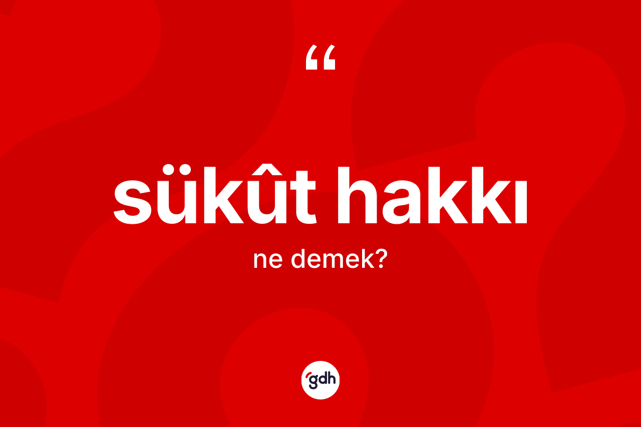 Sükût hakkı kelimesinin tanımı nedir?