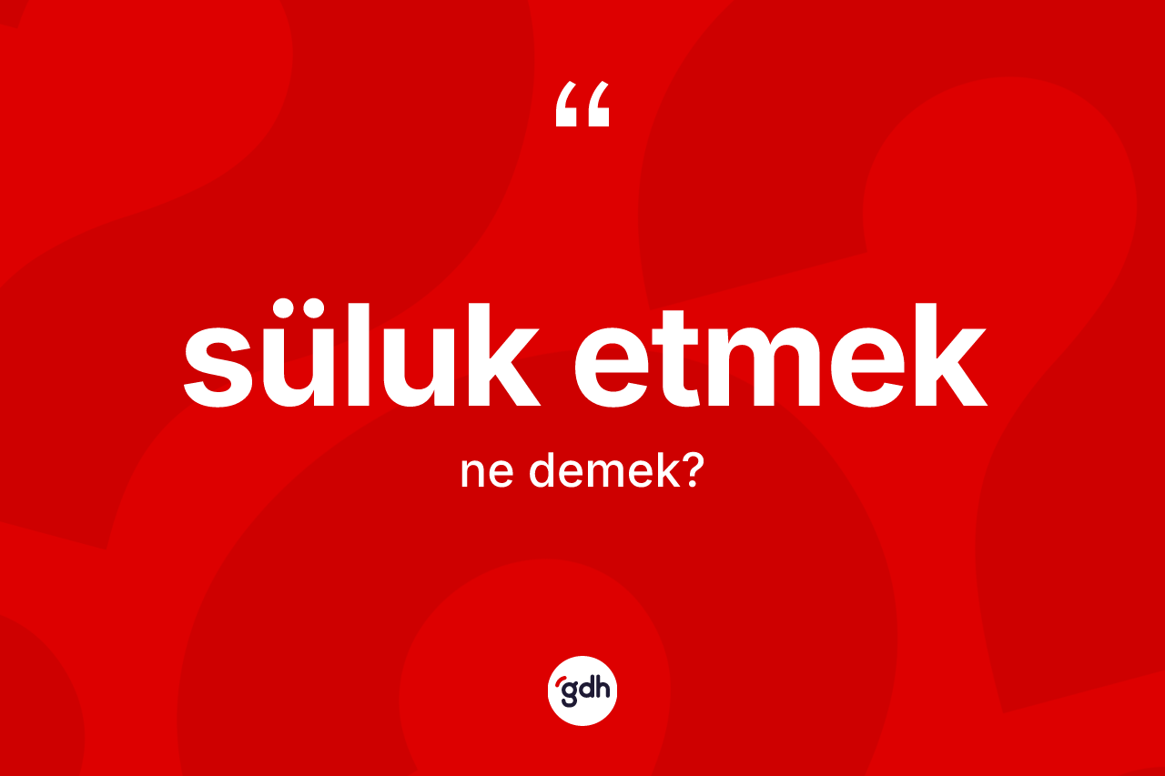 Süluk etmek ifadesi ne anlama gelir?