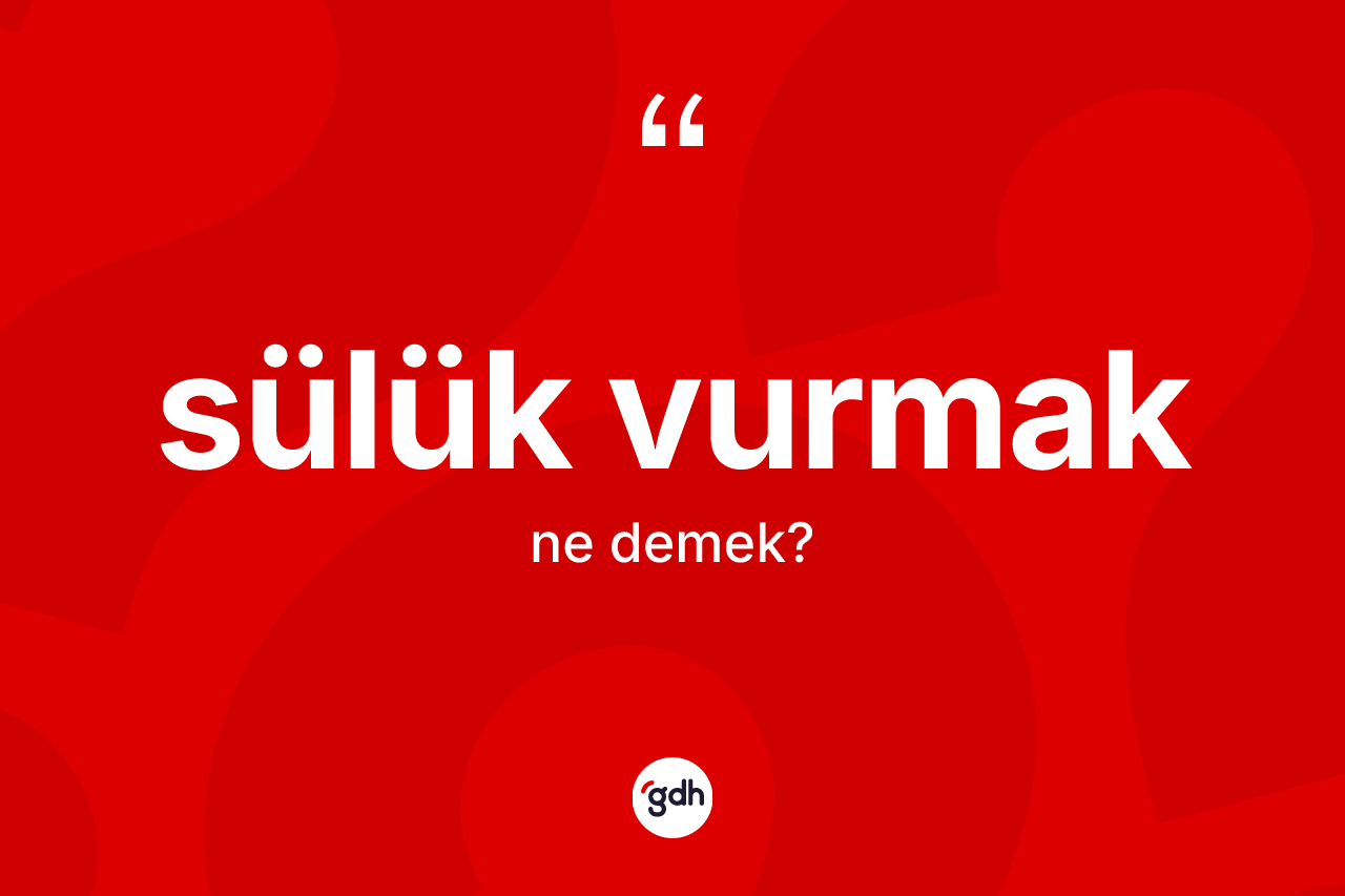 Sülük vurmak ifadesinin kısaca anlamı nedir?