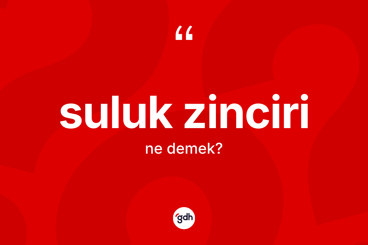 Suluk zinciri kelimesinin tanımı nedir? Suluk zincirinin TDK'ya göre anlamı nedir?