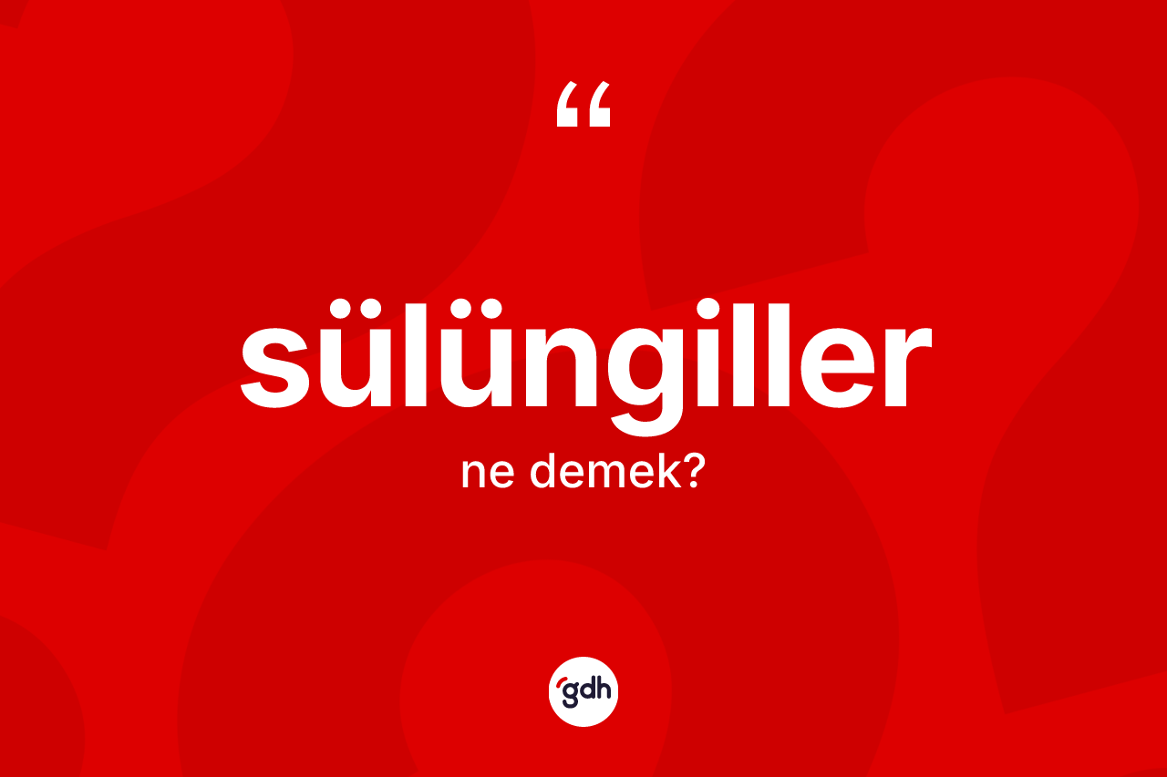 Sülüngiller kelimesinin sözlükteki tanımı nedir?
