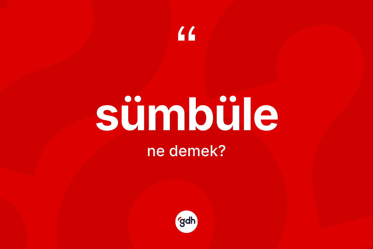 Sümbüle kelimesinin tanımı nedir?
