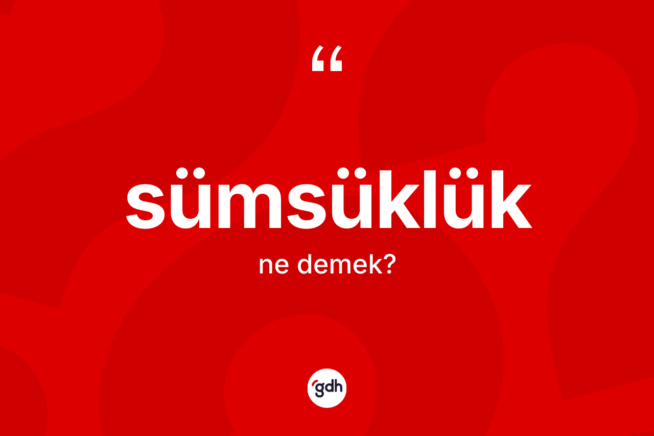 Sümsüklük kelimesi ne anlama gelir? Sümsüklük kelimesinin kaç farklı anlamı var?
