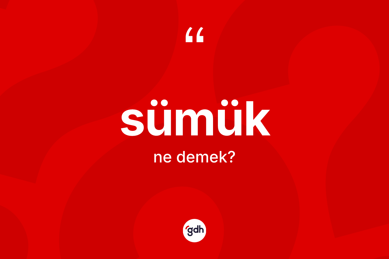 Sümük kelimesi ne anlama gelir?
