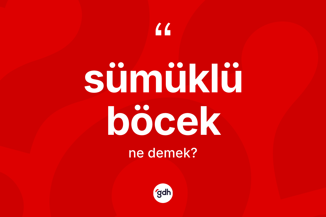 Sümüklü böcek kelimesi ne anlama gelir?