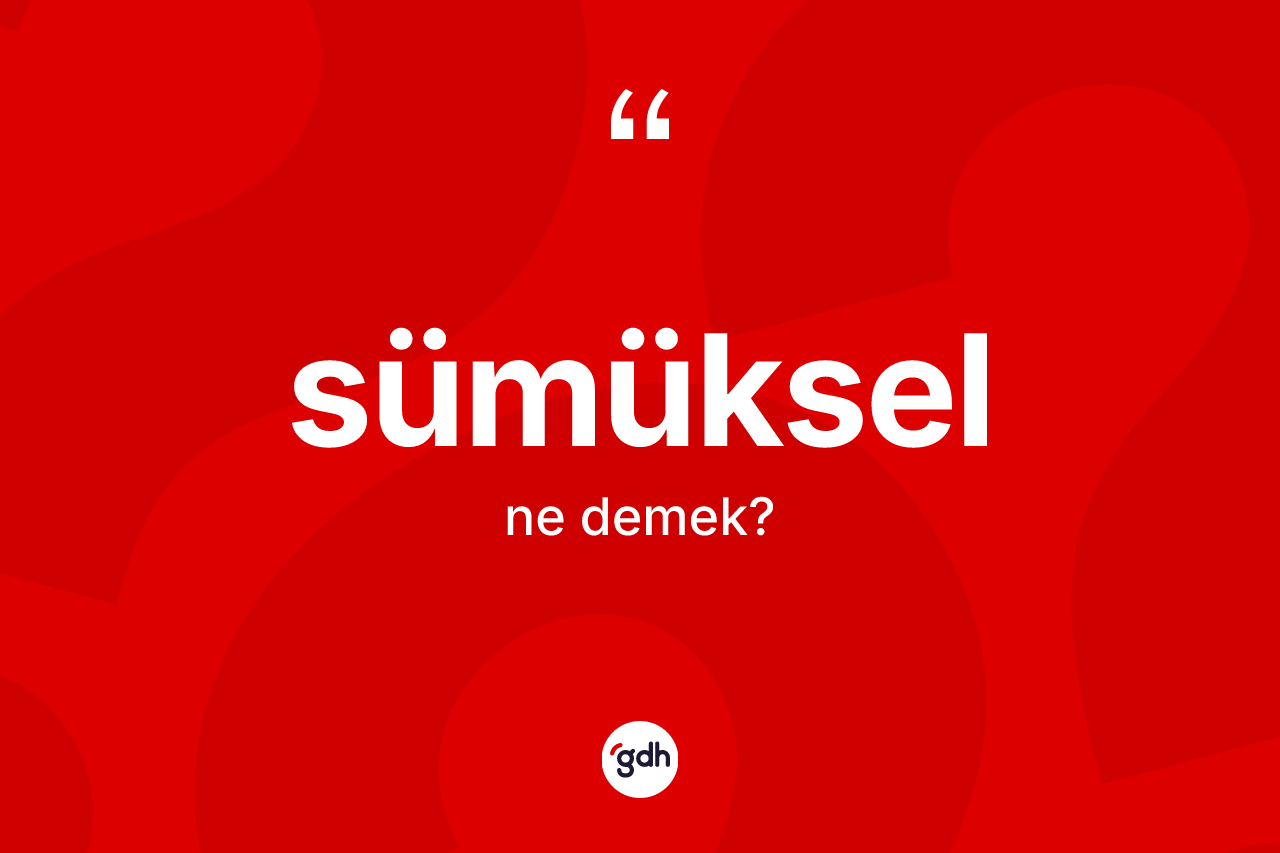 Sümüksel kelimesi nedir? Sümükselin TDK'ya göre anlamı nedir?