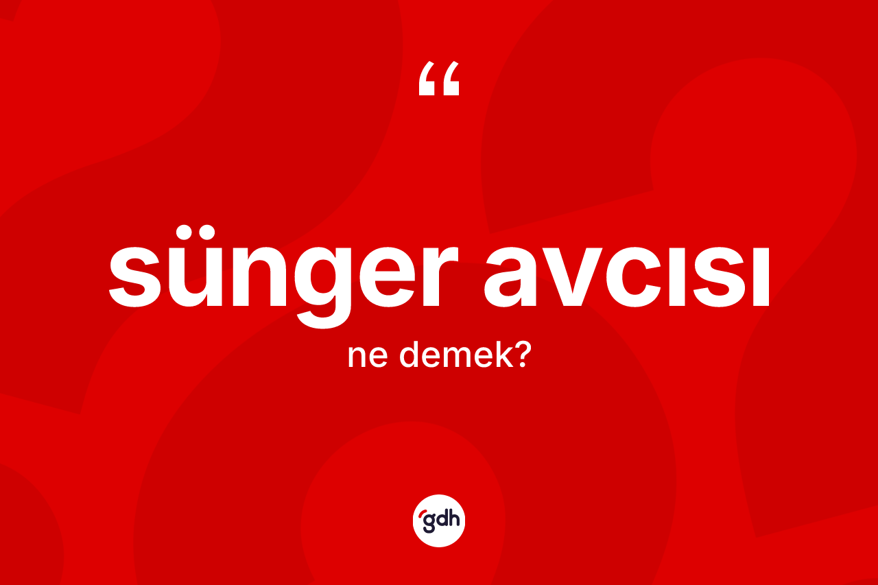 Sünger avcısı kelimesinin anlamı nedir?
