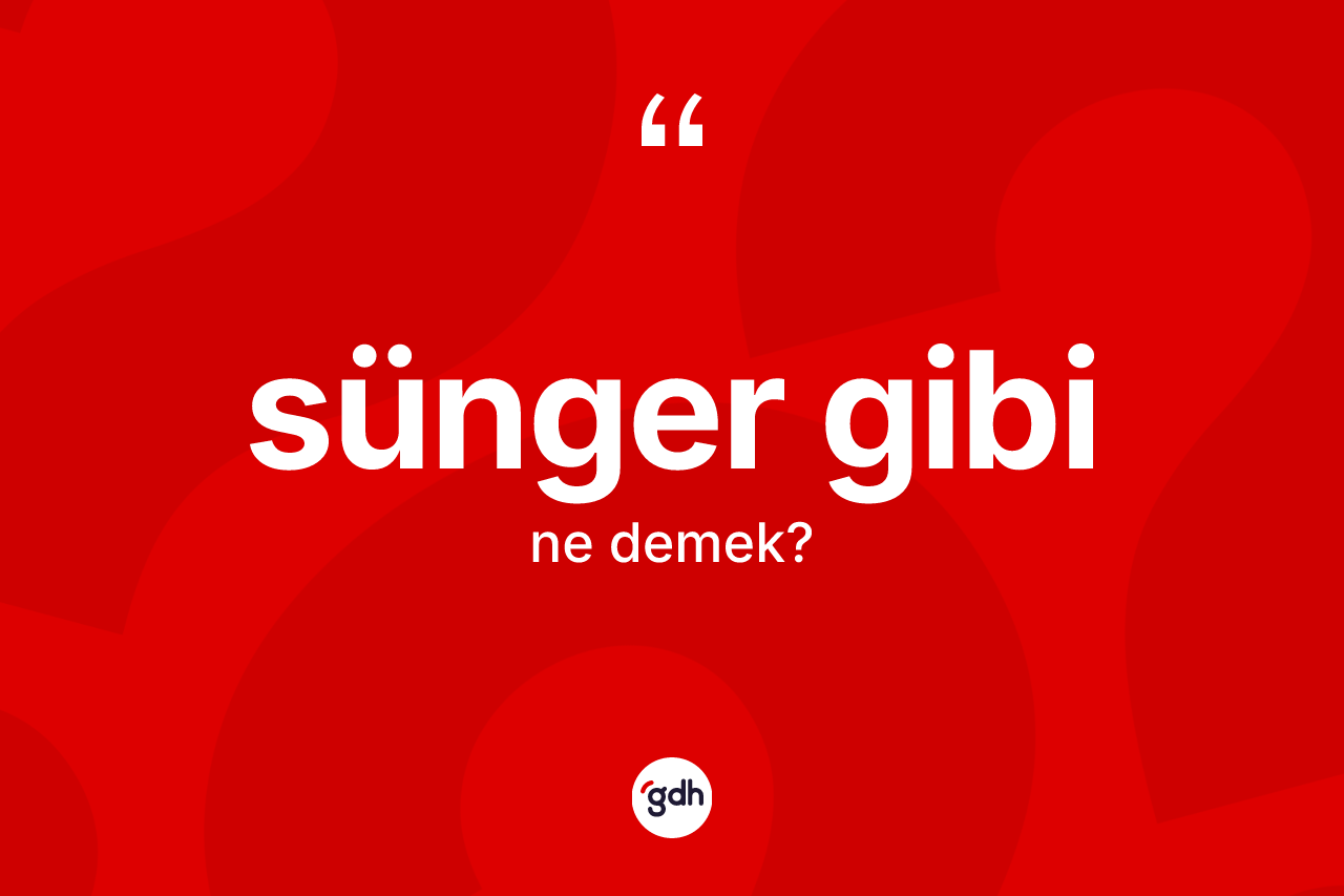 Sünger gibi ifadesinin kısaca anlamı nedir?