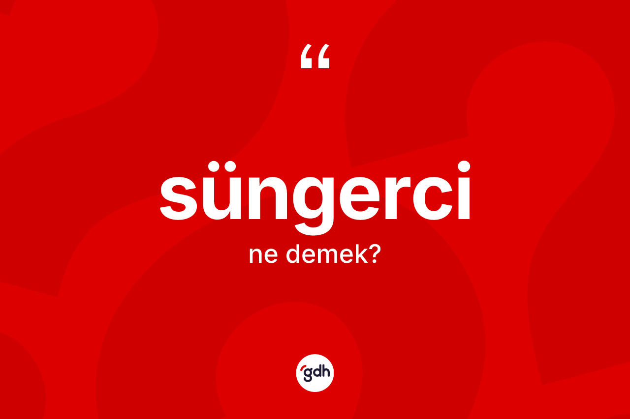 Süngerci kelimesi ne demek?