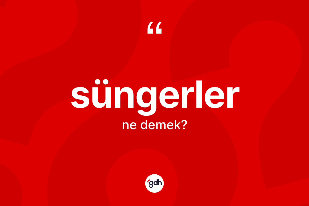 Süngerler kelimesinin tanımı nedir?