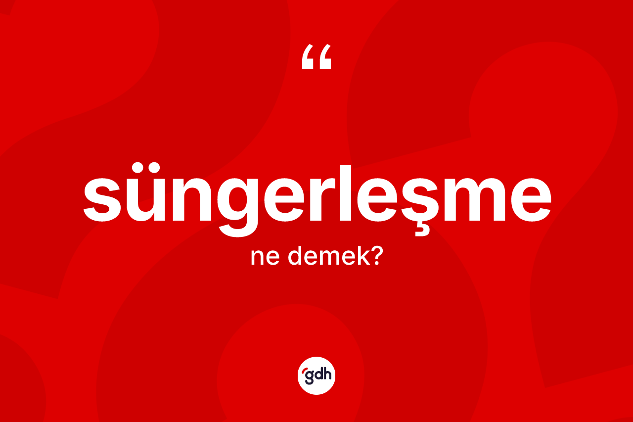 Süngerleşme kelimesinin anlamı nedir? Süngerleşmenin TDK'ya göre anlamı nedir?