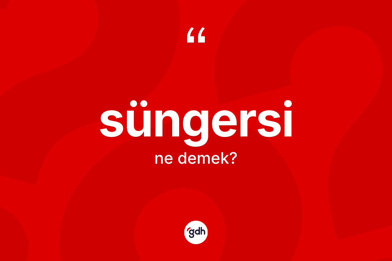 Süngersi kelimesinin anlamı nedir?