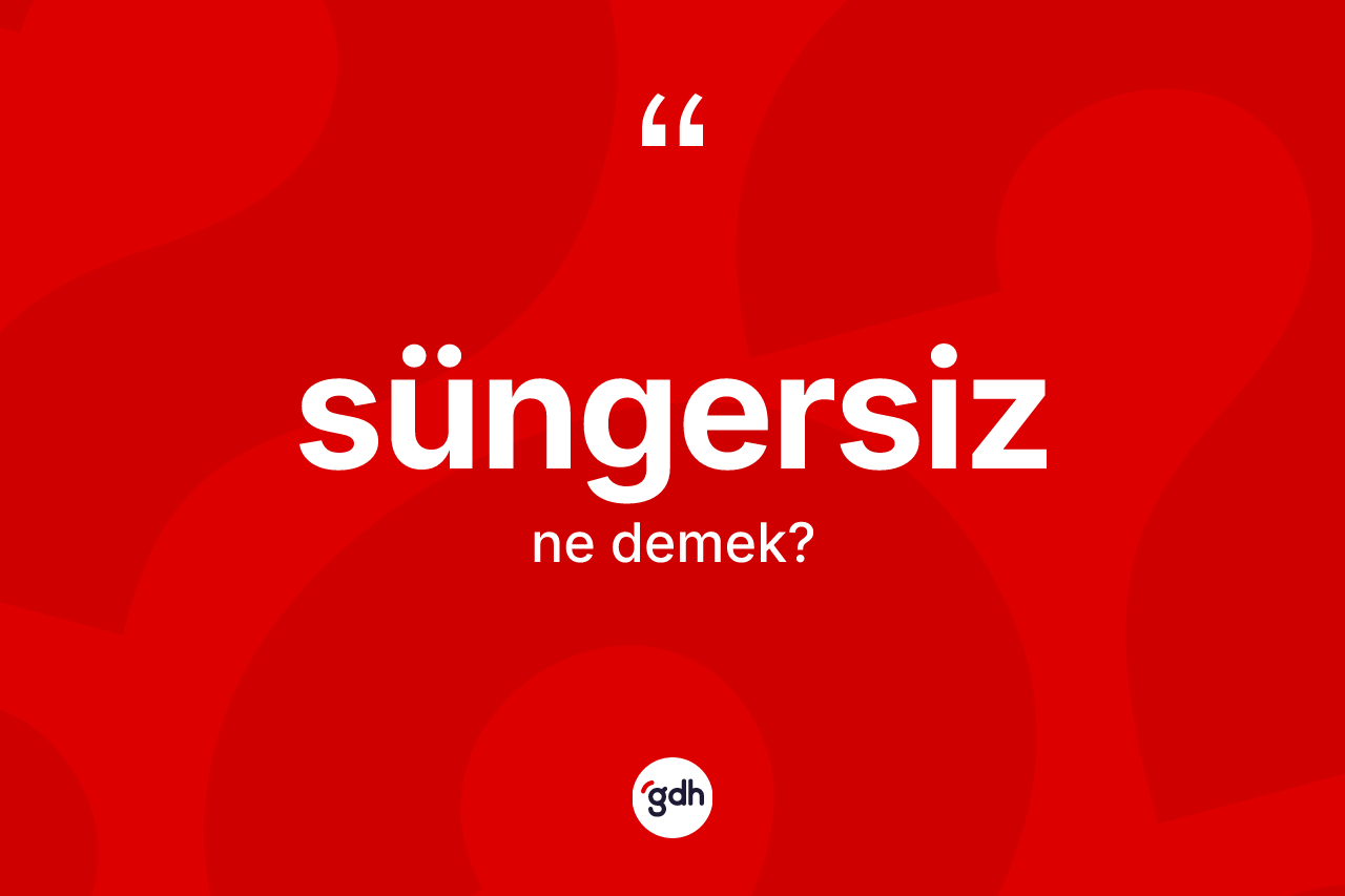 Süngersiz kelimesinin sözlükteki tanımı nedir? Süngersizin halk arasındaki kullanımı nasıldır?