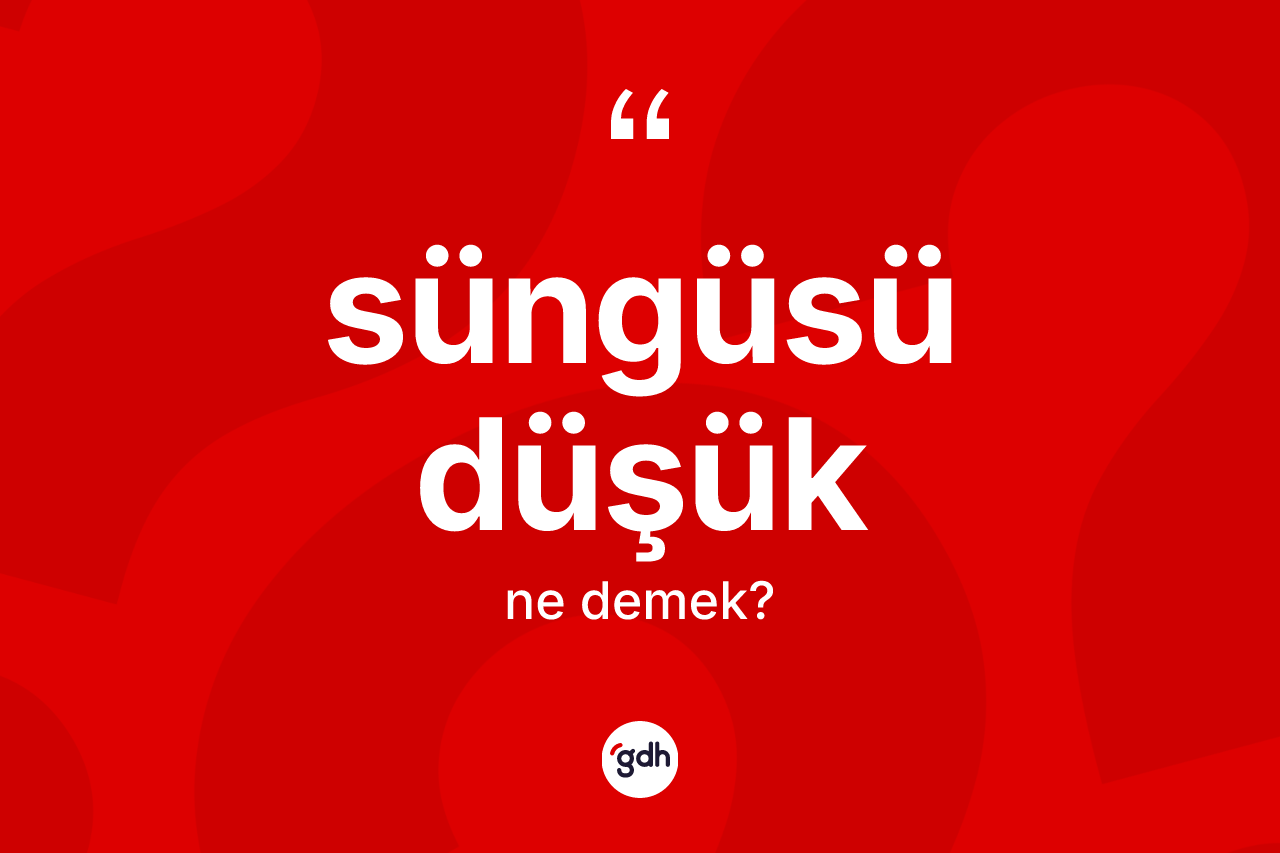 Süngüsü düşük kelimesinin sözlükteki tanımı nedir?