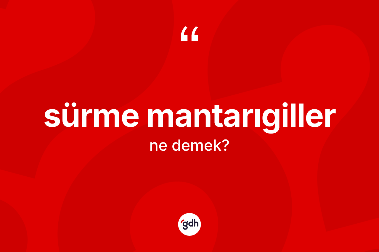 Sürme mantarıgiller ne anlama gelir?
