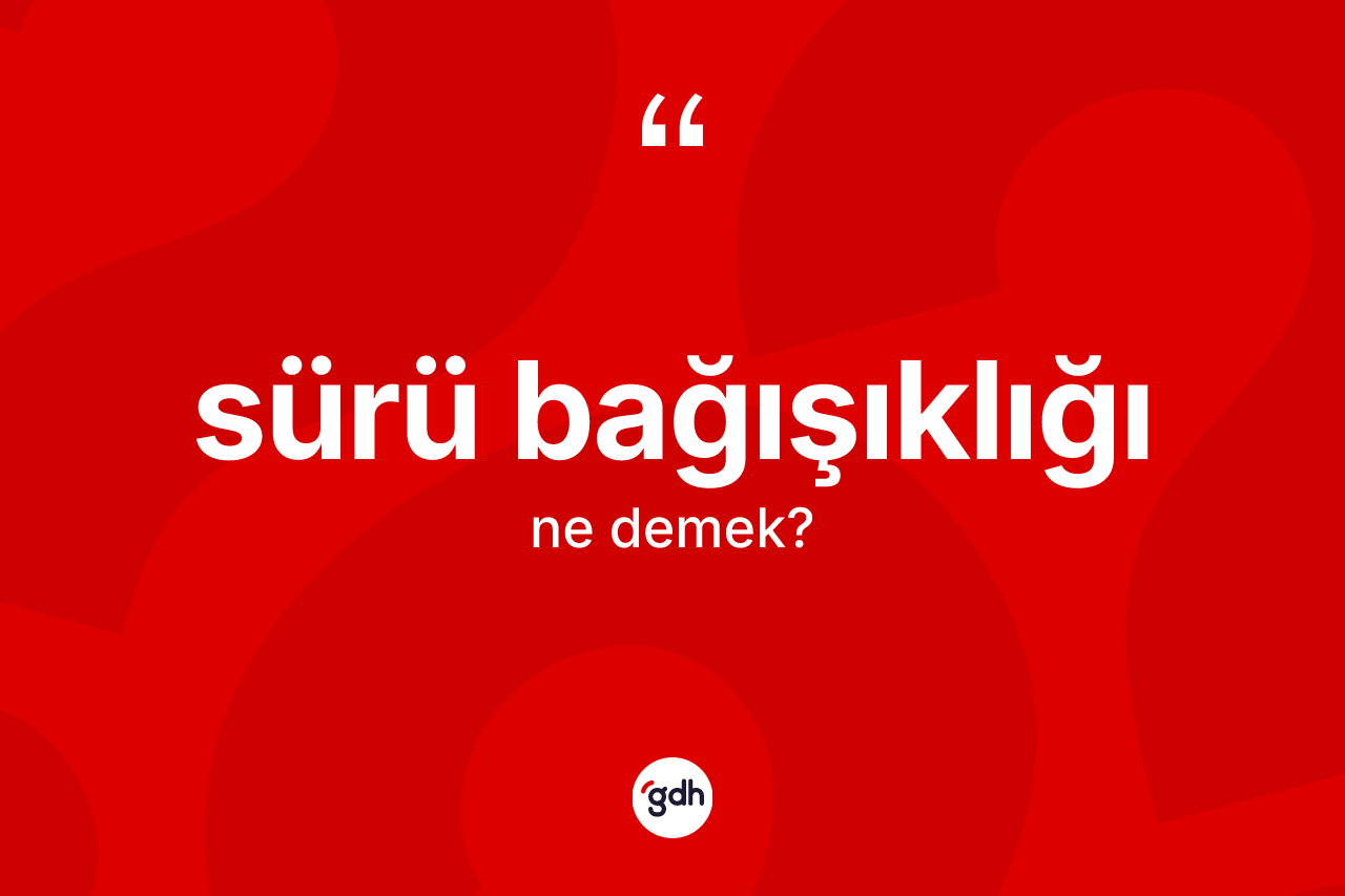Sürü bağışıklığı ne anlama gelir? Sürü bağışıklığının TDK'ya göre anlamı nedir?