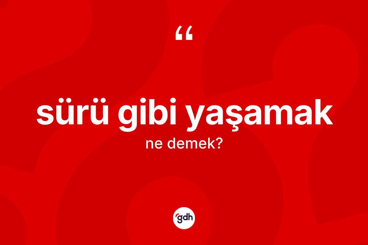 Sürü gibi yaşamak ifadesinin anlamı nedir?