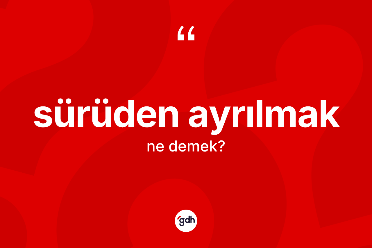Sürüden ayrılmak ne demek?