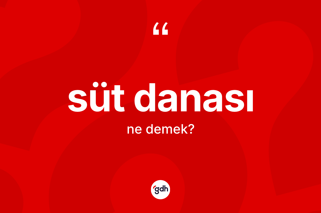 Süt danası kelimesinin anlamı nedir?