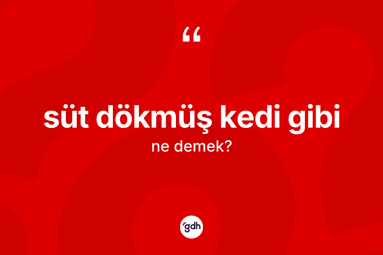 Süt dökmüş kedi gibi ifadesinin tanımı nedir?