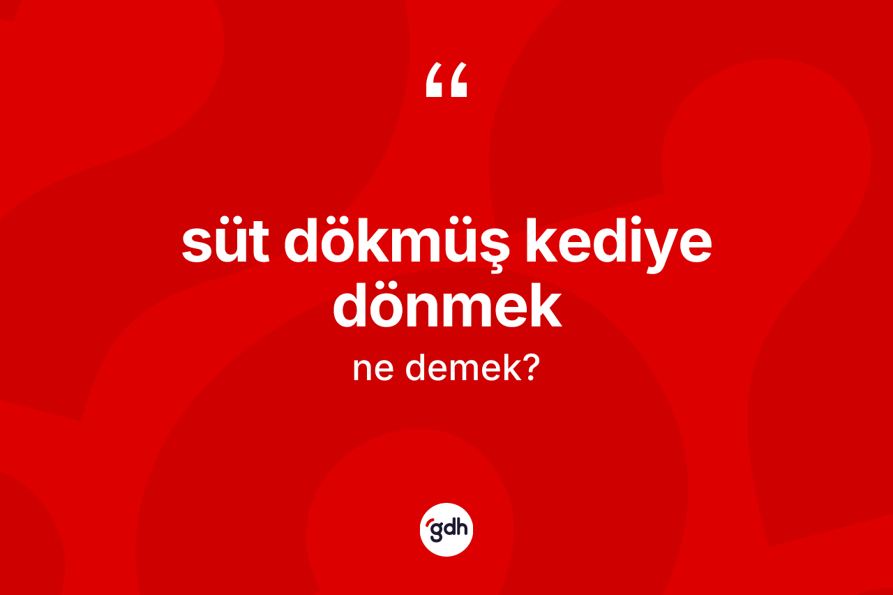 Süt dökmüş kediye dönmek ifadesinin anlamı nedir?