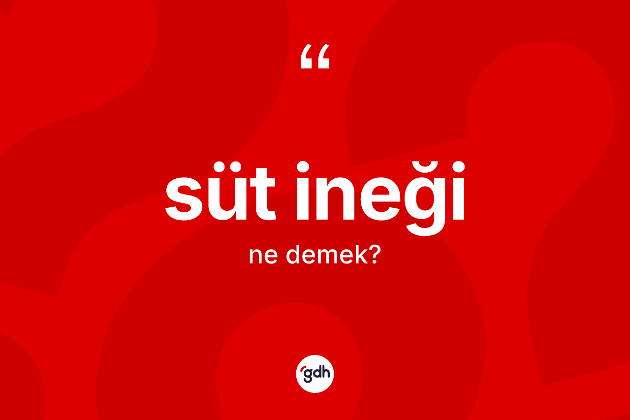 Süt ineği ne demek?