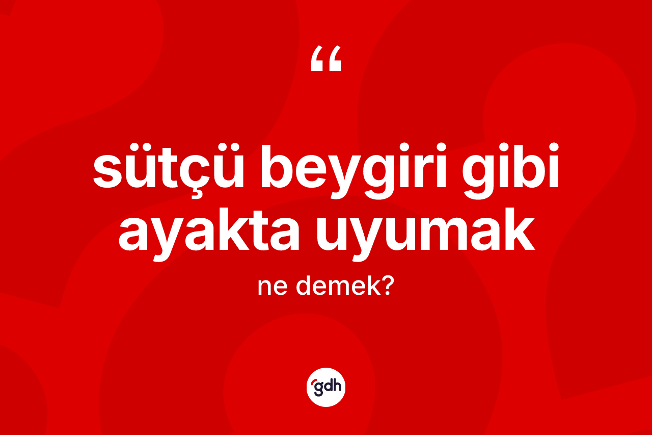 Sütçü beygiri gibi ayakta uyumak nedir?