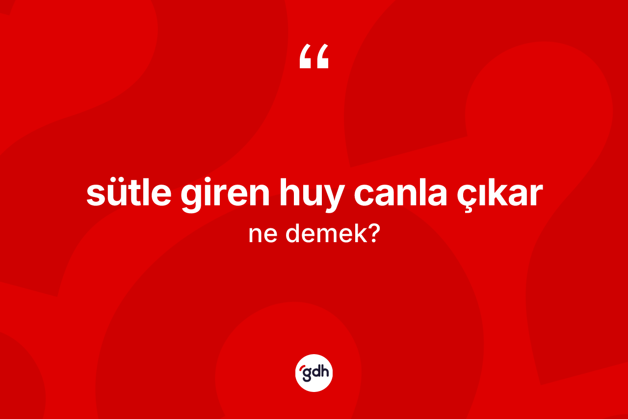 Sütle giren huy canla çıkar ifadesinin sözlükteki anlamı nedir?