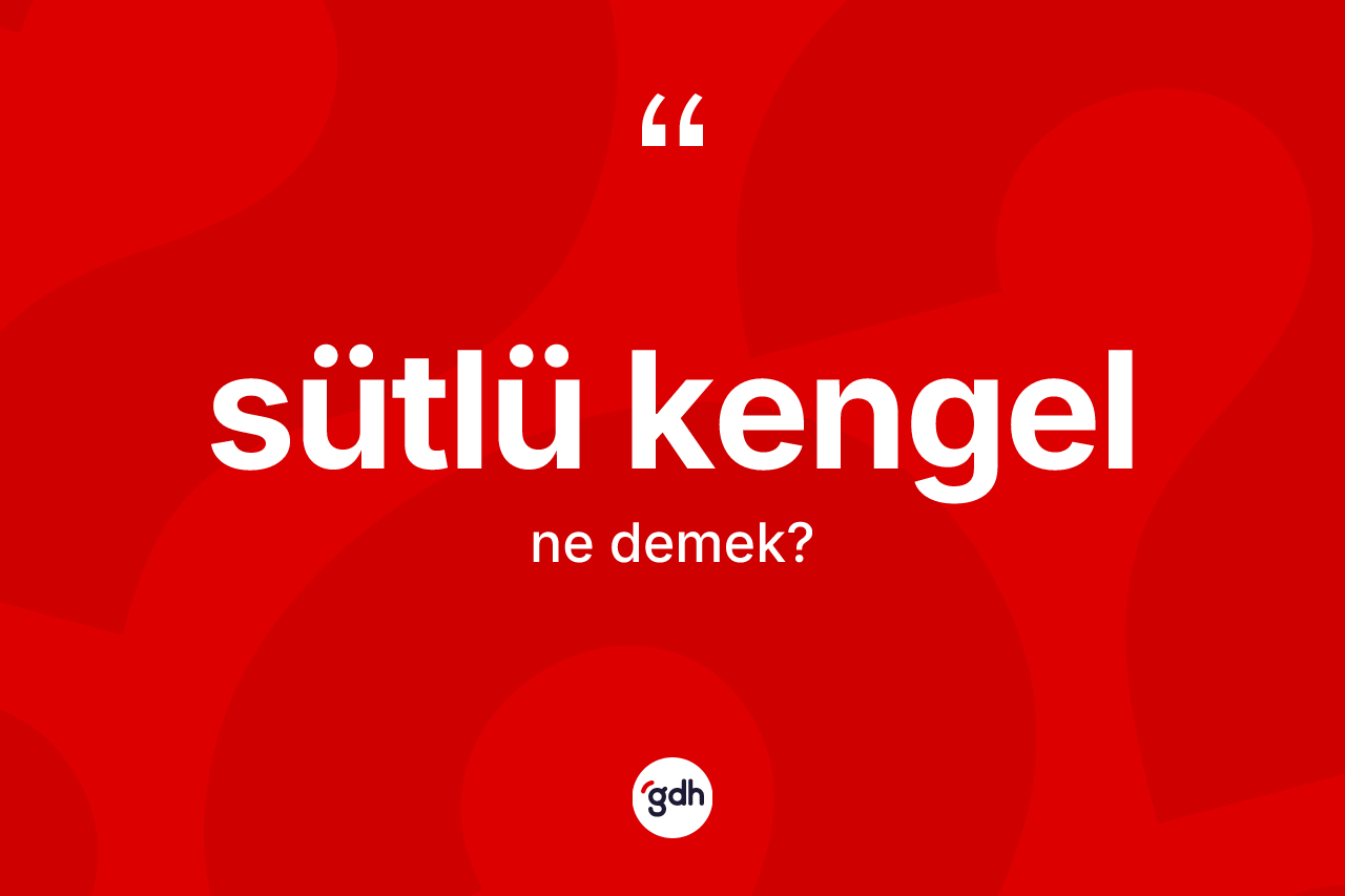 Sütlü kengel kelimesinin tanımı nedir?