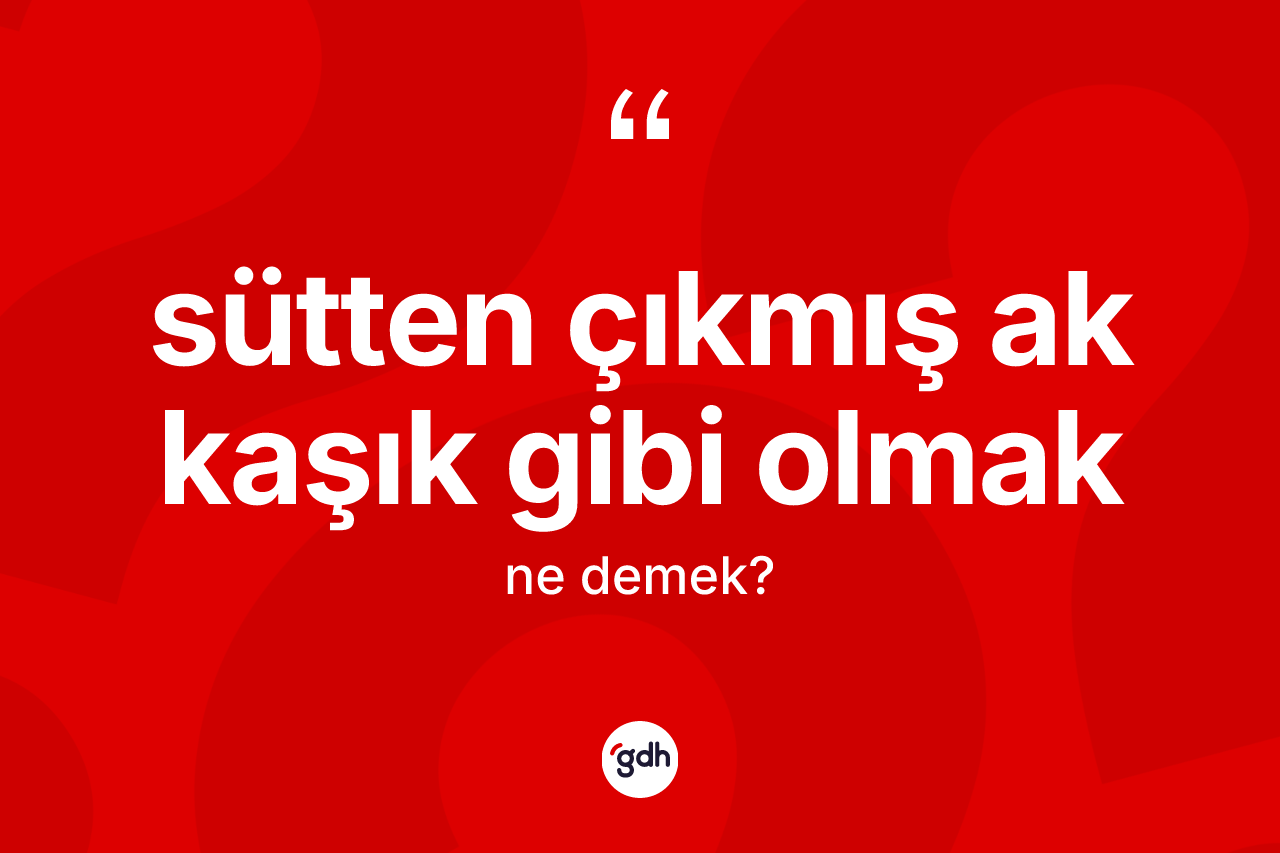 Sütten çıkmış ak kaşık gibi olmak ifadesinin sözlükteki anlamı nedir?