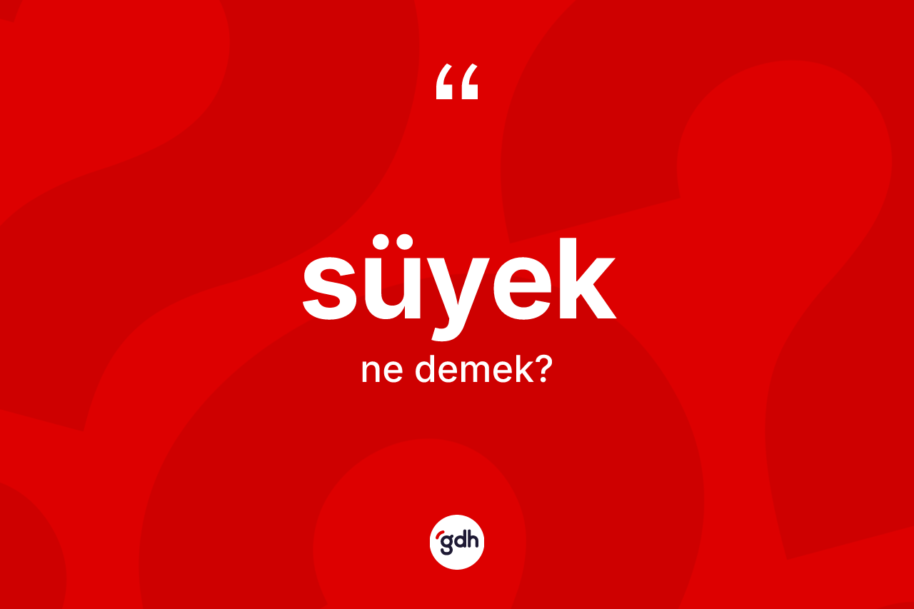 Süyek nedir? Süyek kelimesinin kaç farklı anlamı var?