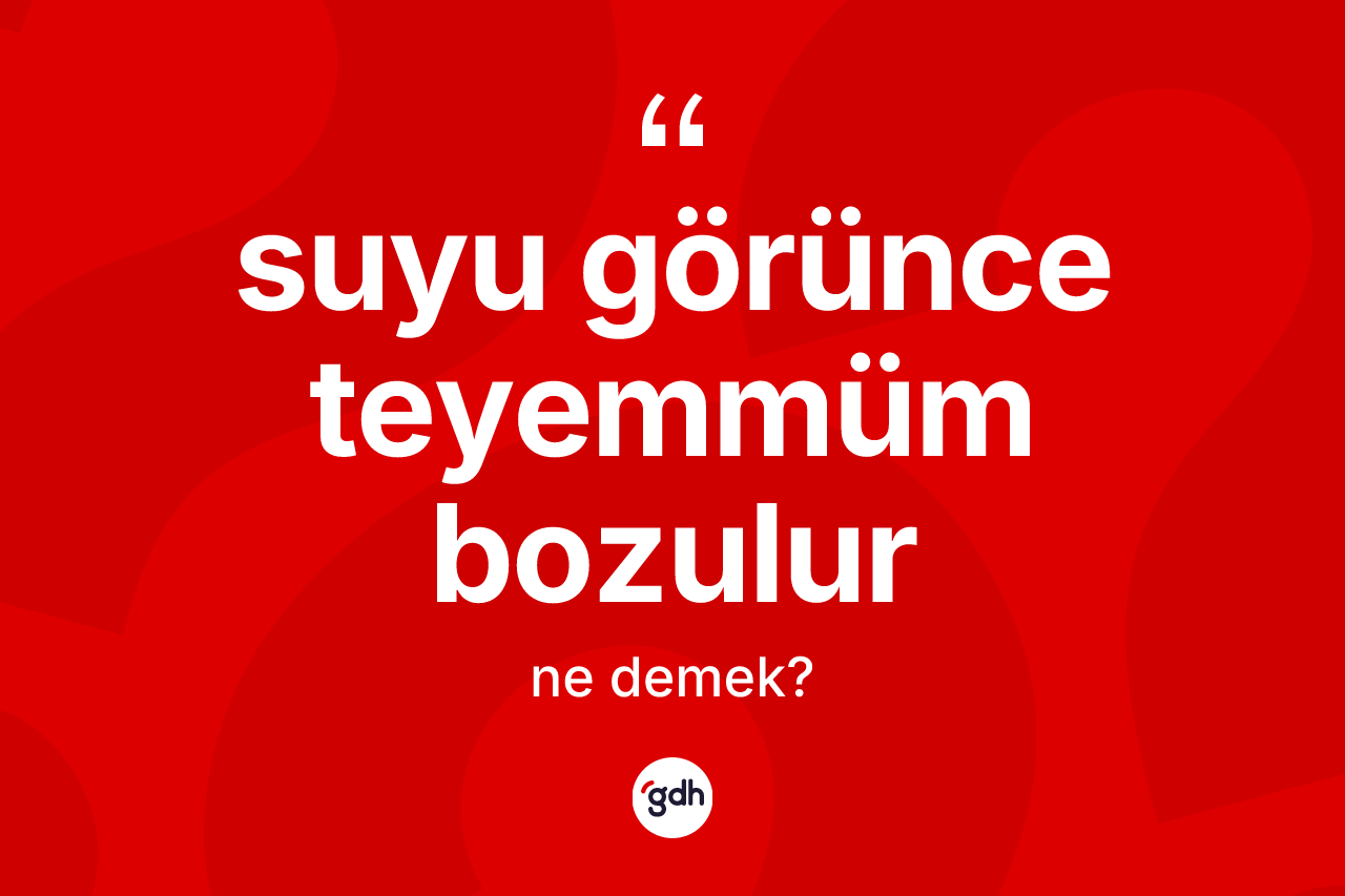 Suyu görünce teyemmüm bozulur ifadesi ne demektir?
