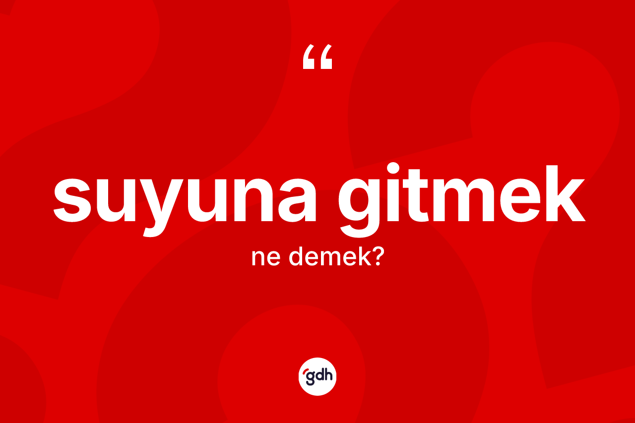 Suyuna gitmek ifadesi neyi anlatır?