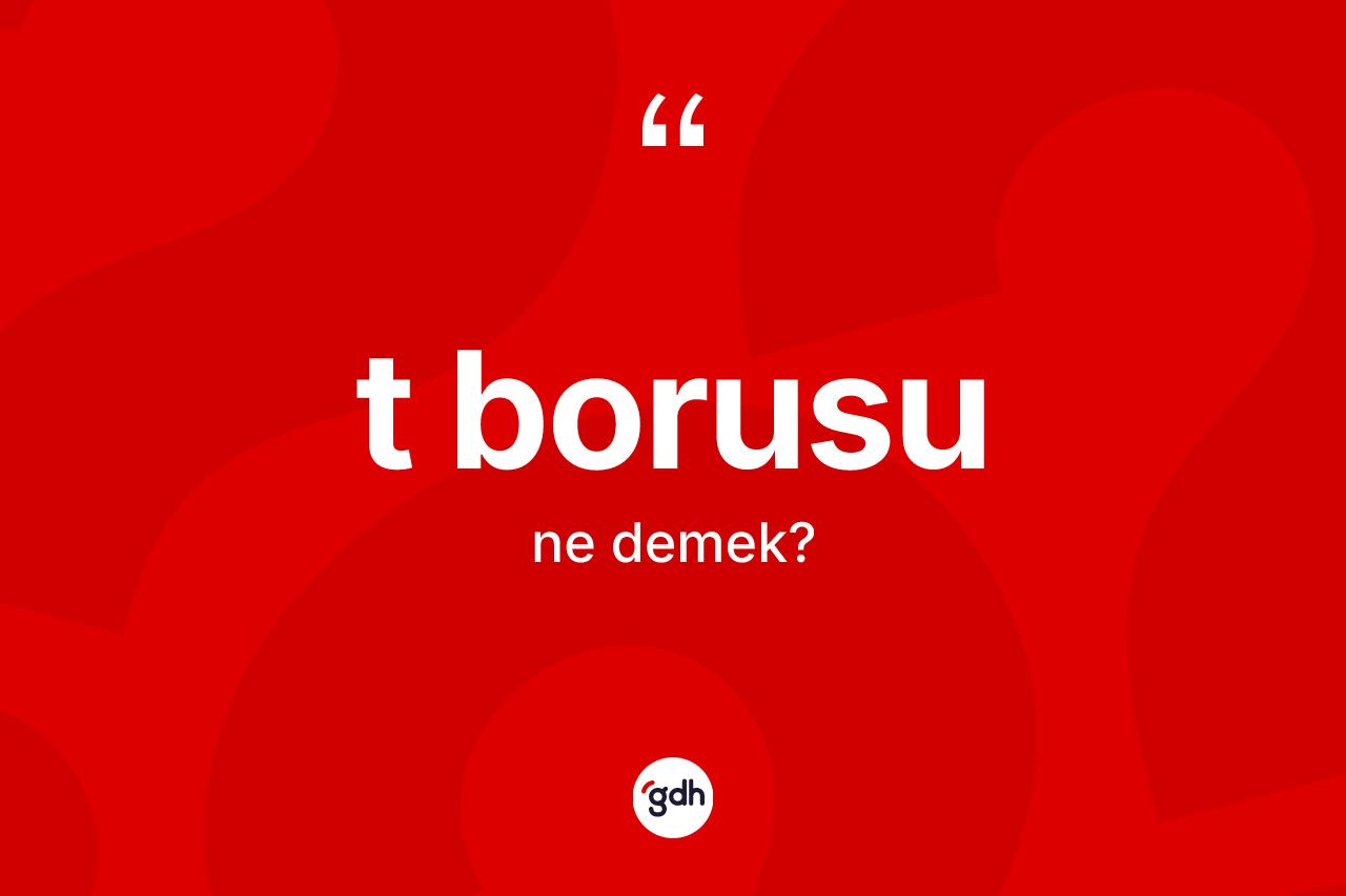 T borusu kelimesinin tanımı nedir? T borusunun TDK'ya göre anlamı nedir?